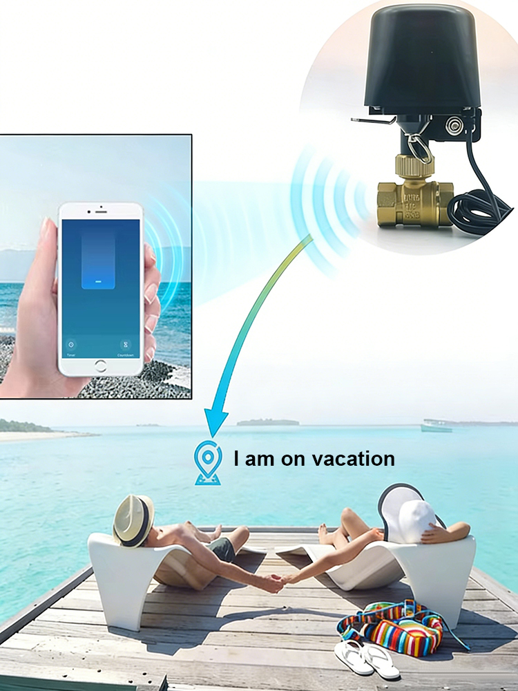 Tuya Smart Water Valve​ DN15/D - Smart Garden Home Assistant 评论和价格