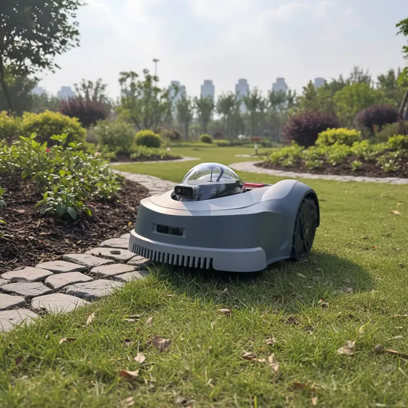 Newest Mini Smart Robotic Lawn - Smart Garden Water 评论和价格
