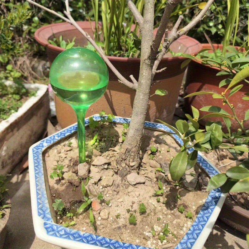 6PCS Indoor Plants Self Wateri - Smart Garden Technology 评论和价格