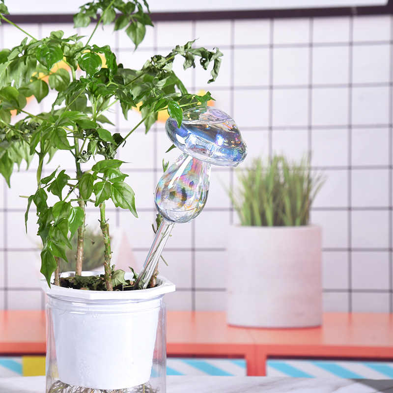 1/2PCS Glass Straw Automatic P - Smart Garden Technology 评论和价格