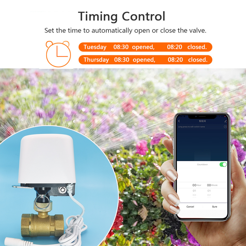 Smart Tuya WiFi Zigbee Water V - Smart Garden Home Assistant 评论和价格