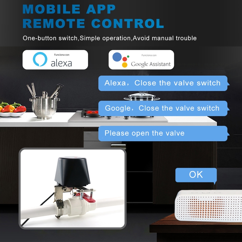 Tuya Smart Gas Valve WIFI Gard - Smart Garden Water 评论和价格