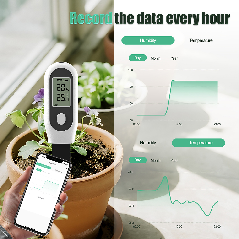 Tuya Zigbee 3 in 1 Soil Temper - Smart Garden Home Assistant 评论和价格