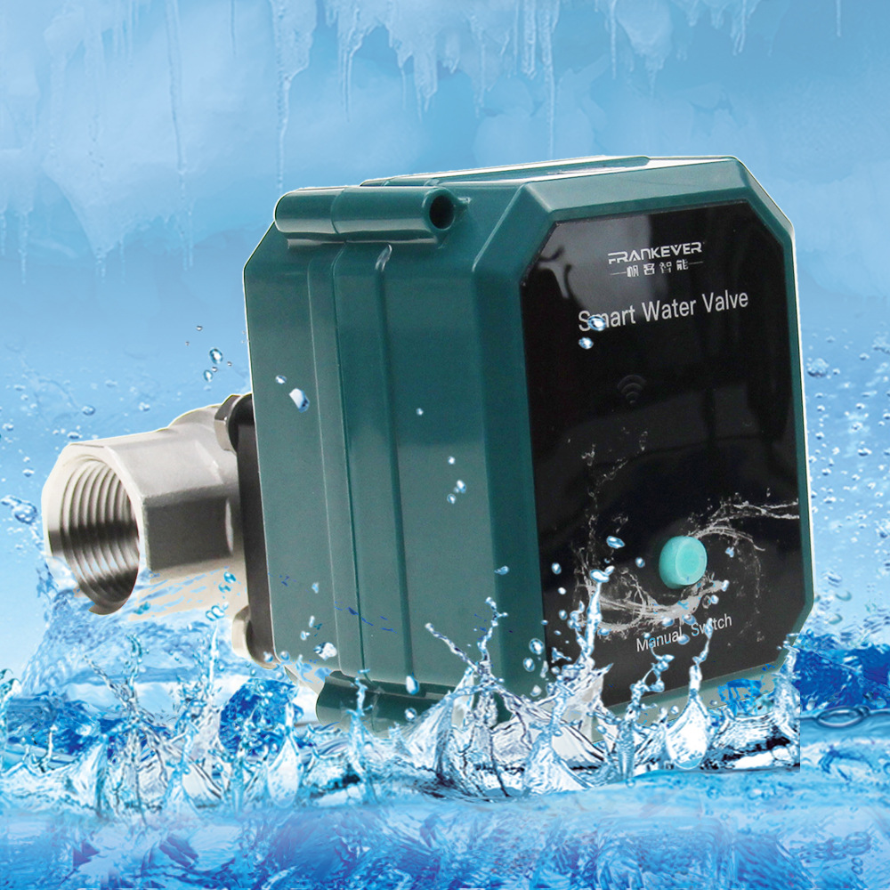 Wifi Tuya Water Valve Shut off - Smart Garden Home Assistant 评论和价格